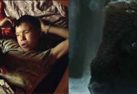 “KOKA” AND “BLOODLINE” AWARDED IN BULGARIA